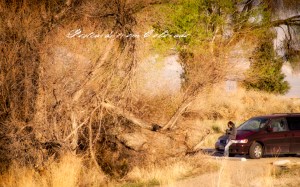 PostcardsfromColorado-140329