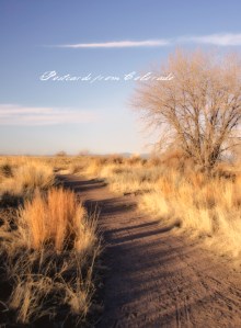 PostcardsfromColorado-140401