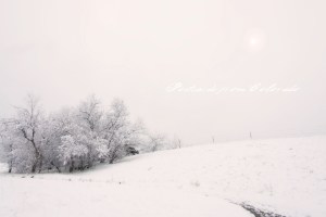 PostcardsfromColorado-140403