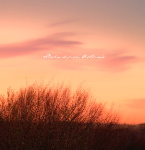 PostcardsfromColorado-140409