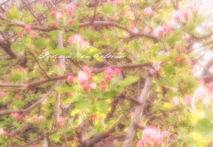 PostcardsfromColorado-140423