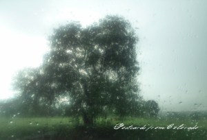 PostcardsfromColorado-140530