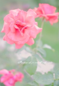 PostcardsfromColorado-140617