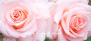 PostcardsfromColorado-140626