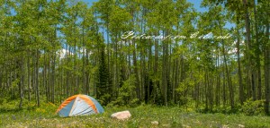 PostcardsfromColorado-140706