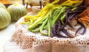 PostcardsfromColorado-140728