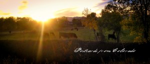 PostcardsfromColorado-141008