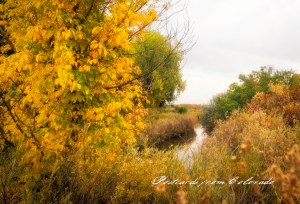 PostcardsfromColorado-141013