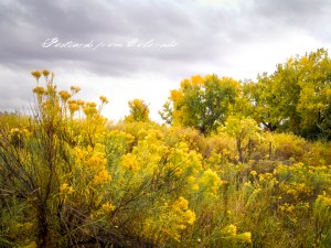 PostcardsfromColorado-141020