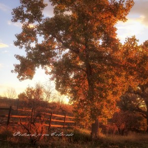 PostcardsfromColorado-141028