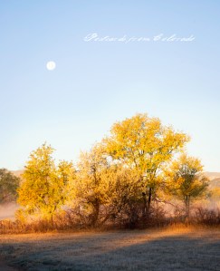 PostcardsfromColorado-141108