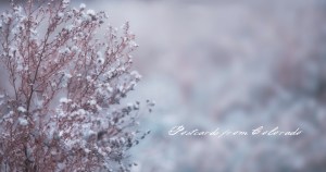 PostcardsfromColorado-141126