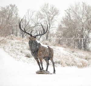 PostcardsfromColorado-141215