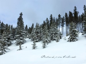 PostcardsfromColorado-150104