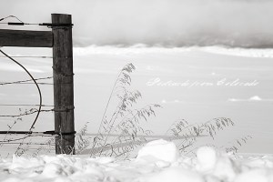 PostcardsfromColorado-150113