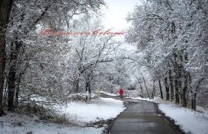 PostcardsfromColorado-150221