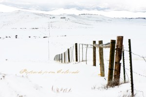 PostcardsfromColorado-150302