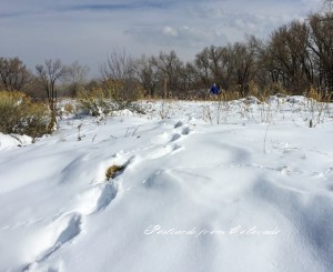 PostcardsfromColorado-150303