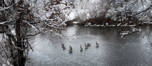 PostcardsfromColorado-150325