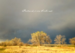 PostcardsfromColorado-150430