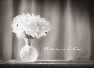 PostcardsfromColorado-150601