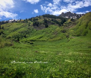 PostcardsfromColorado-150630