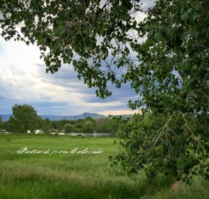 PostcardsfromColorado-1507010