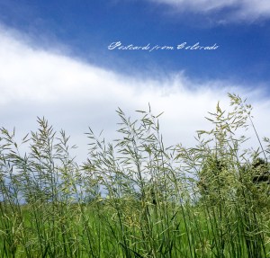 PostcardsfromColorado-150705