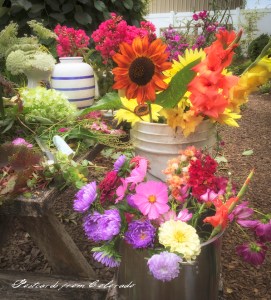 PostcardsfromColorado-1507026