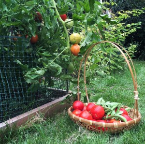 postcardsfromcolorado-2015-08-17