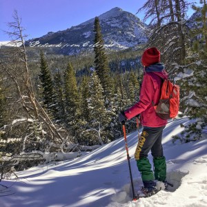 postcardsfromcolorado_2016_1_1