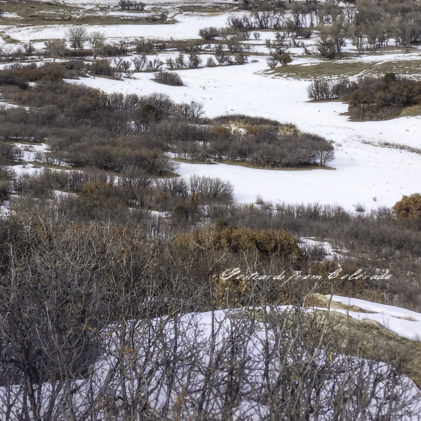 postcardsfromcolorado_2016_1_26