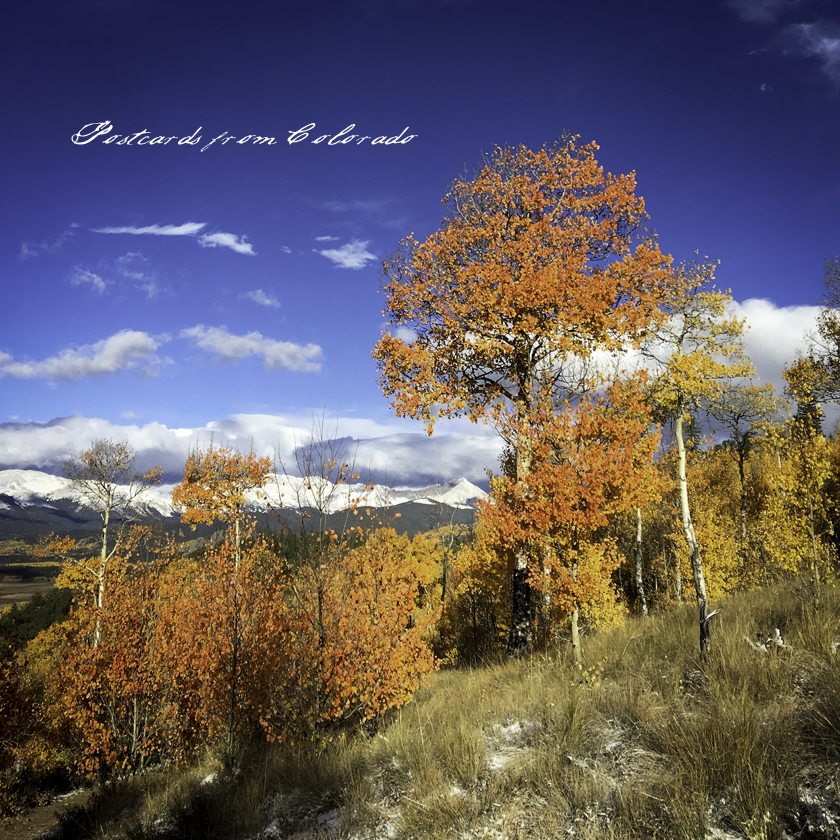 postcardsfromcolorado_2016_10_1