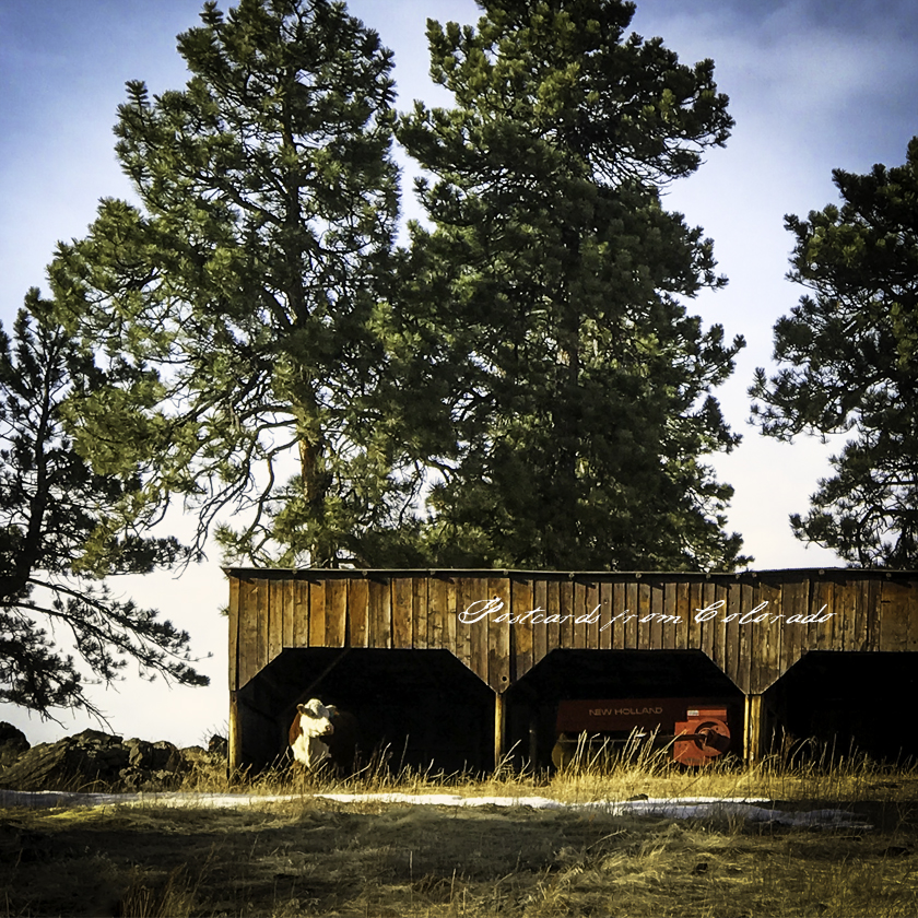 postcardsfromcolorado_2017_02_02