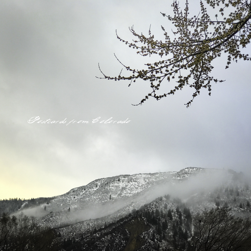 postcardsfromcolorado_2017_2_26