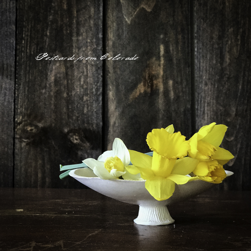 postcardsfromcolorado_2017_3_5