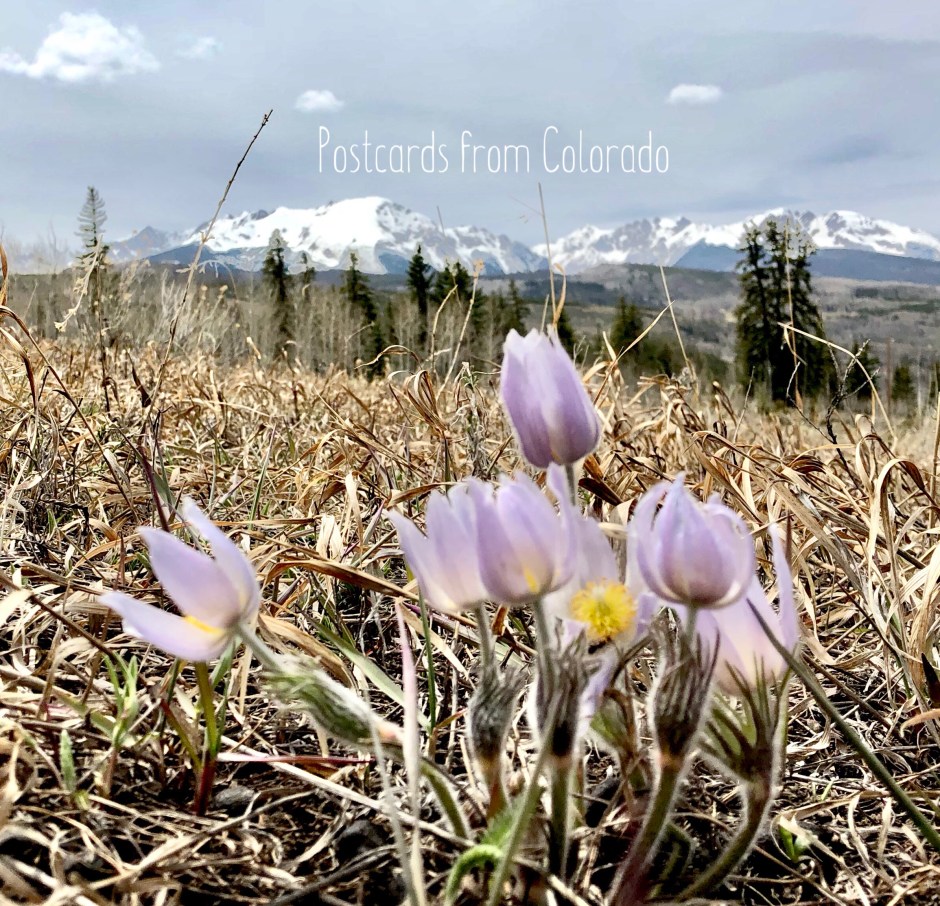 postcardsfromcolorado_2018_5_9